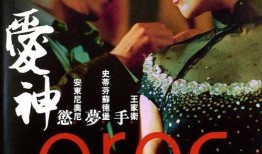 爱神2004在线观看,跨越时空的浪漫邂逅